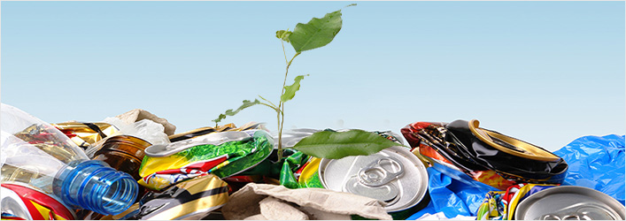 How can we dispose the solid wastes?